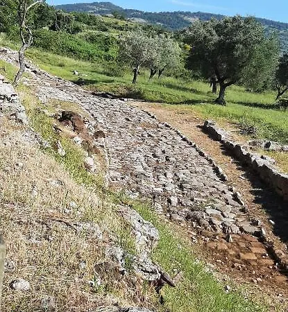 Antica Turistico *